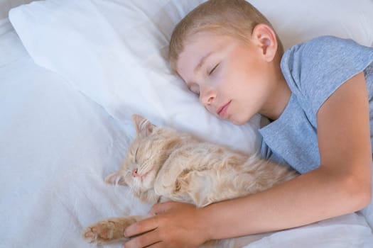 the boy falls asleep and hugs his ginger cat, who sleeps with him under the covers. children and pets. the cat sleeps with the baby. the child is getting ready for bed