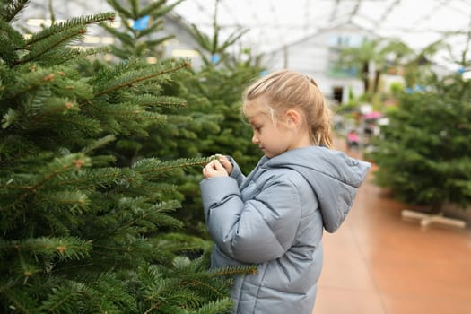 Small girl chooses a Christmas tree in the shop.