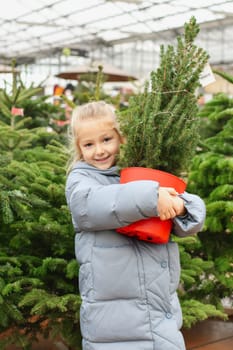A small girl chooses a Christmas tree in the market.