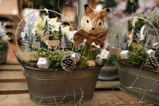 Christmas composition with plants for Christmas