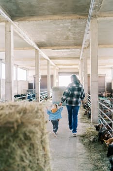 Mother and a little girl walk through the farm, past the goat pens, holding hands. Back view. High quality photo