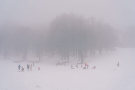 Skiers and lugers on a snow-covered foggy plain at the edge of the forest. High quality photo