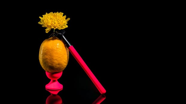 Creative still life with lemon and garden tools on a black background