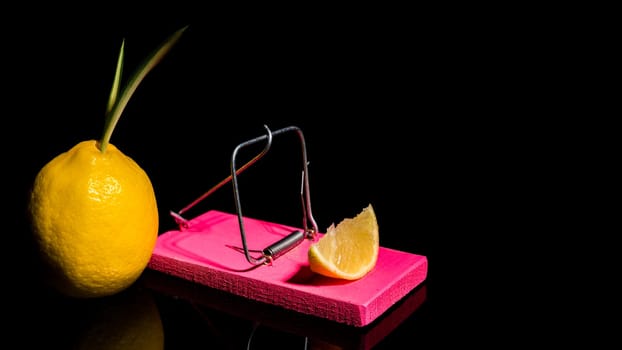 Creative still life with lemon and mousetrap on a black background. Trap for fools.