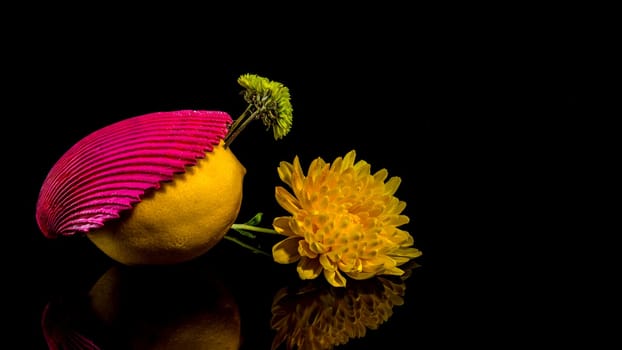 Creative still life with lemon and shells on a black background