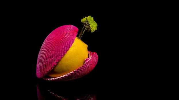 Creative still life with lemon and shells on a black background