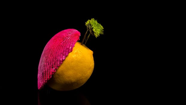 Creative still life with lemon and shell on a black background