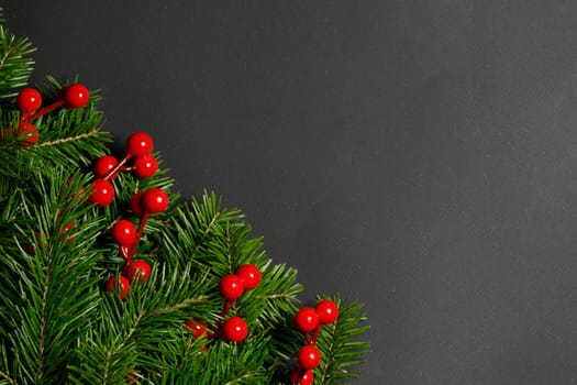 Pine Christmas tree branches and red berries on black paper background flat lay top view mock-up