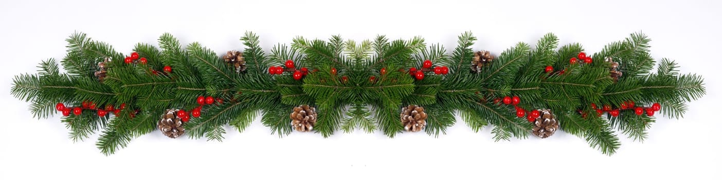 Christmas decoration design element of fir tree branches pine cones and red berries isolated on white background stripe border frame template