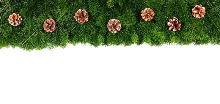 Winter and Christmas fir and cones composition isolated on white background with copy space