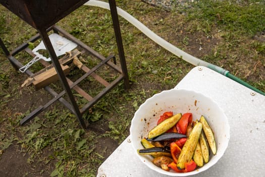 Delicious sliced grilled vegetables. Rustic background lawn and barbecue.