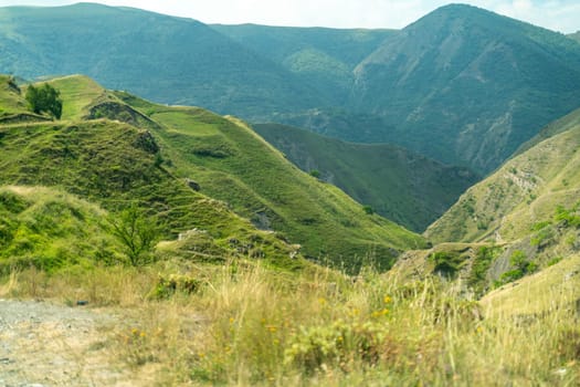 Caucasian mountain. Dagestan. Trees, rocks, mountains, view of the green mountains. Beautiful summer landscape