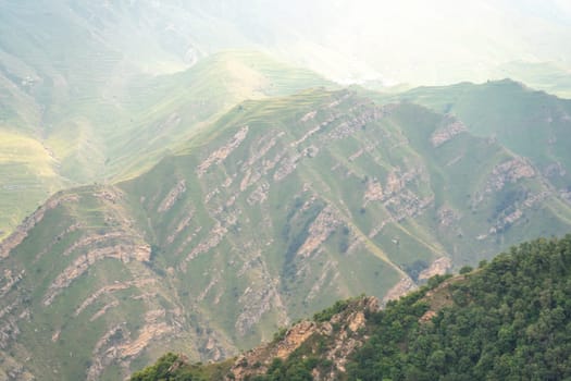 Caucasian mountain. Dagestan. Trees, rocks, mountains, view of the green mountains. Beautiful summer landscape