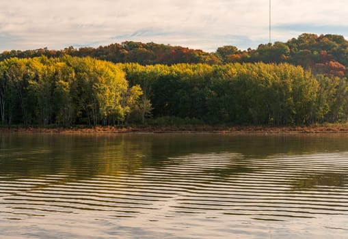 Ripples in calm surface of the Upper Mississippi reflecting fall colors near Dubuque Iowa