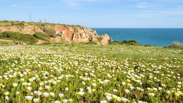 Cliffs view by Atlantic Ocean, Lagos, Algarve, Portugal.