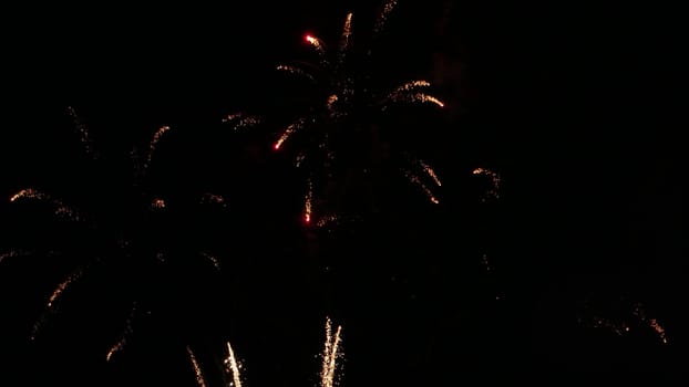 Beautiful fireworks show on a dark night sky.