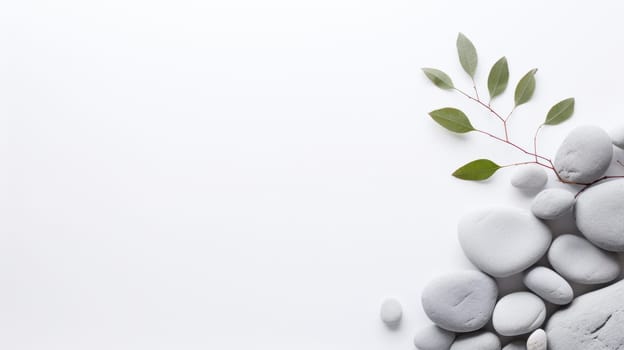 a minimalist design of white pebbles and green leaves on a white background, creating a sense of balance, tranquility, and harmony. High quality photo