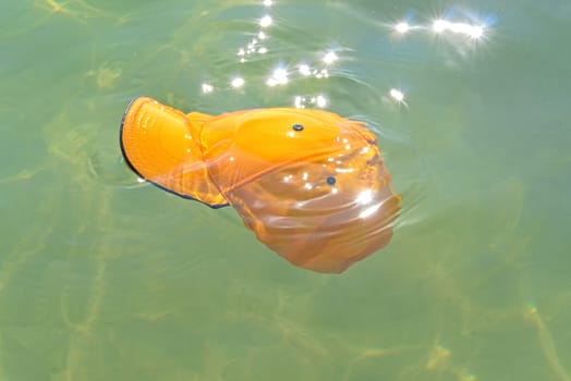 the cap floats on the surface of the water.