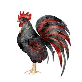 Drawing of a watercolor black rooster with a medallion. illustration for printing on children's educational cards, textiles and tableware. For posters in a children's room for boys and girls. High quality illustration