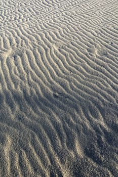 Photographic documentation of the sand smoothed and drawn by the strong wind 