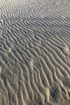 Photographic documentation of the sand smoothed and drawn by the strong wind 