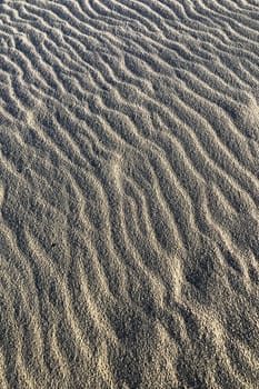 Photographic documentation of the sand smoothed and drawn by the strong wind 