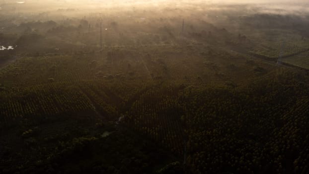 Aerial view of High voltage grid tower with wire cable at tree forest with fog in early morning. Colorful landscape with woods in fog, sunbeams, sky, forest in winter morning.