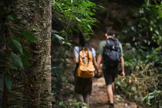 Closeup view of tree trunk in tropical forest with young couple hiking in background.