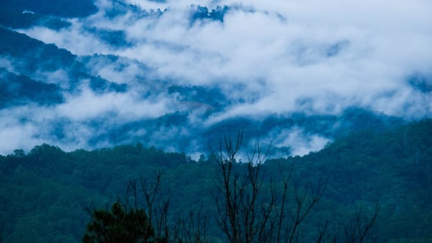 Aerial view over the mountains with sea of fog during morning sunrise in blue sky. Sea of clouds around mountain peaks at sunrise. Unseen travel in Northern Thailand.