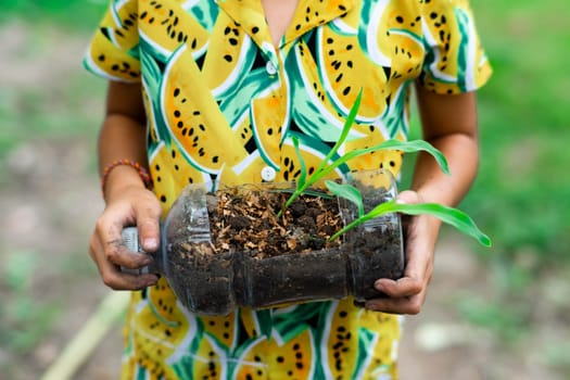 Little girl shows saplings grown in recycled plastic bottles. Recycle water bottle pot, gardening activities for children. Recycling of plastic waste