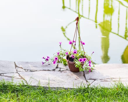 Hanging Flower Basket. baskets of flowers in the decoration outdoors