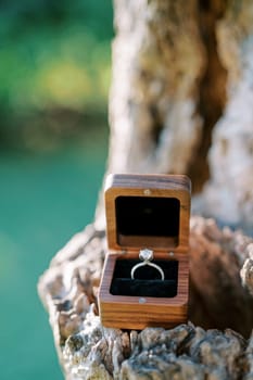 Diamond engagement ring lies in a wooden box on a tree stump. High quality photo