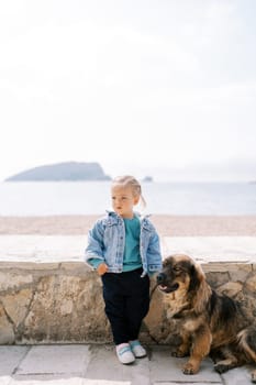 Dog sits near a little girl leaning against a stone fence by the sea. High quality photo