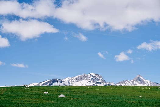 Green meadow at the foot of a snow-capped mountain range. High quality photo