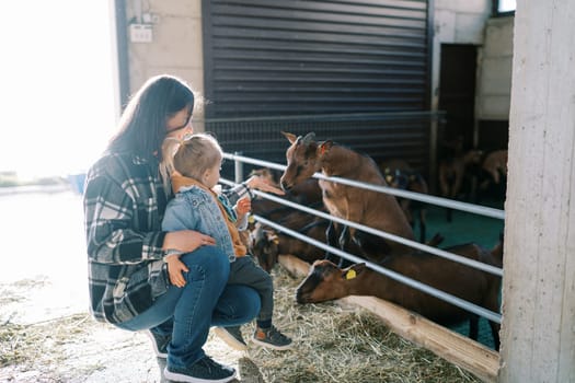 Mom squats with a little girl and feeds a goat from her hand over the fence of the paddock. High quality photo