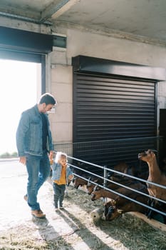 Dad and little girl walk to the goat pen at the farm, holding hands. High quality photo