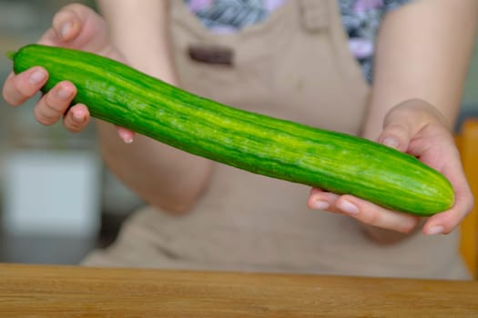 Woman's hands hold a whole green cucumber close-up. Ripe cucumber is suitable for salads or as a side dish. Loving vegetables. High quality photo