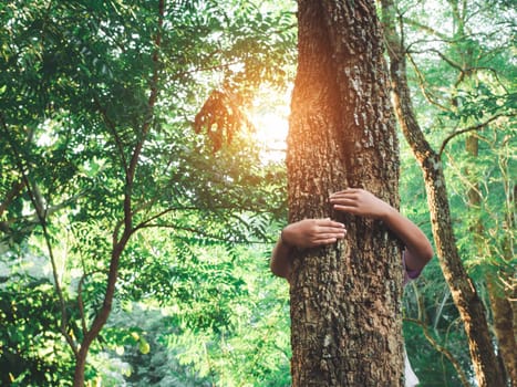 Human hands are hugging a tree in love. Representing helping to preserve the environment. Concept of saving the world.