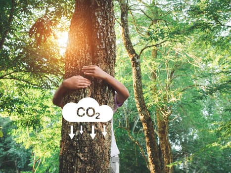 Human hands are hugging a tree in love. Representing helping to preserve the environment. Planting trees to reduce CO2 emissions, environmental protection concept.