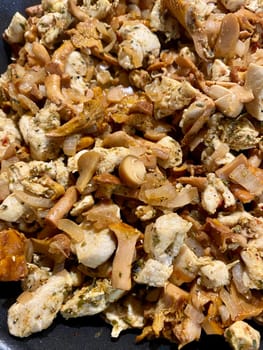 Chicken fillet with fox mushrooms and onion, homemade food. High quality photo