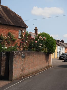 Attractive Dorset town street