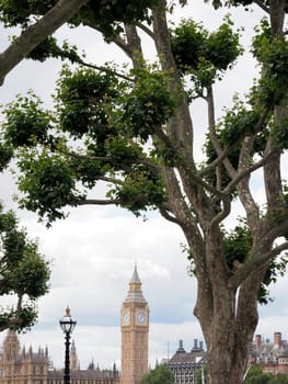 The famous Houses of Parliament and clock tower of Big Ben from Southbank
