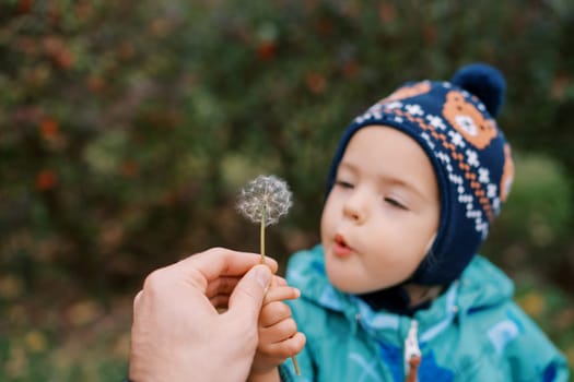 Little girl blowing on a dandelion in her father hand. High quality photo