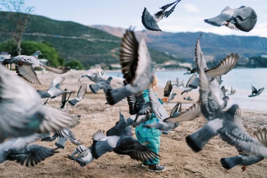 Little girl stands among a flock of flying pigeons on the beach. Side view. High quality photo