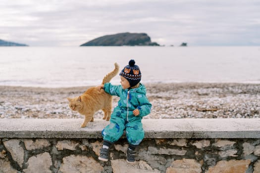 Little smiling girl petting a ginger cat sitting on a stone fence by the sea. High quality photo