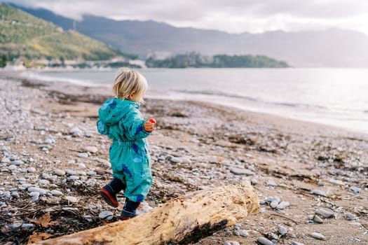 Little girl is walking along a pebbly beach near a driftwood. Side view. High quality photo