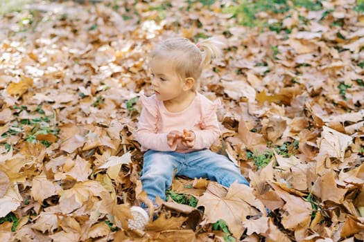 Little girl sits among the fallen leaves in the park and looks away. High quality photo