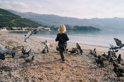 Little girl walks along the seashore among a flock of pigeons. Back view. High quality photo