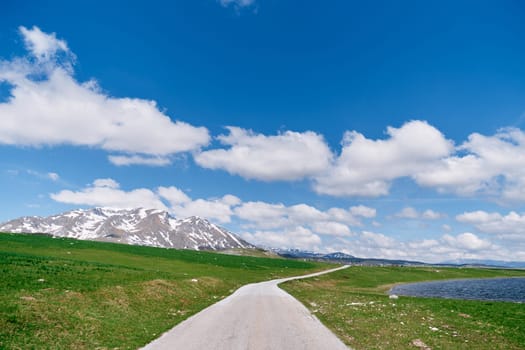 Asphalt road on a green lawn along a lake against a background of snowy mountains. High quality photo