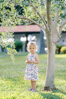Little girl stands near a young tree in the garden with her hands folded in front of her. High quality photo